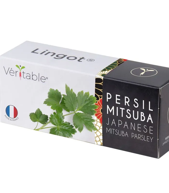 Veritable Lingot® Japanse Peterselie Mitsuba BIO - Voor Moestuinen 3 Veritable Lingot® Japanse Peterselie Mitsuba BIO - Voor Moestuinen
