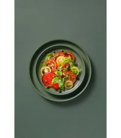 Palmer Serviesset Sandy Loam Stoneware 6-persoons 30-delig Groen 10 Palmer Serviesset Sandy Loam Stoneware 6-persoons 30-delig Groen -Meubilair Geschäft a5d3636958844256af7b75f12e1e7b9d