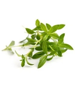 Veritable Lingot® Bonenkruid BIO - Voor Véritable® Moestuinen -Meubilair Geschäft a876dc8fff7a45a98d4df653408091d7