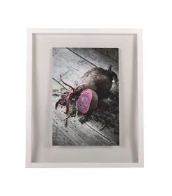 XLBoom WINDOW Fotokader 50x60