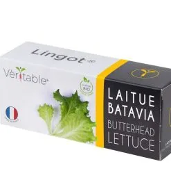 Veritable Lingot® Batavia Sla BIO - Voor Véritable® Moestuinen