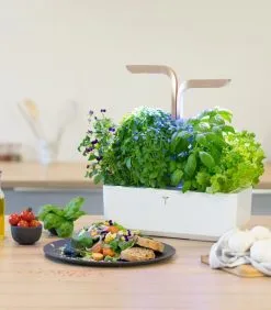 Veritable Indoor Moestuin Véritable® Connect Moonlight Gold 10 Veritable Indoor Moestuin Véritable® Connect Moonlight Gold -Meubilair Geschäft b551f66b7f864bafb326d33697d573a5