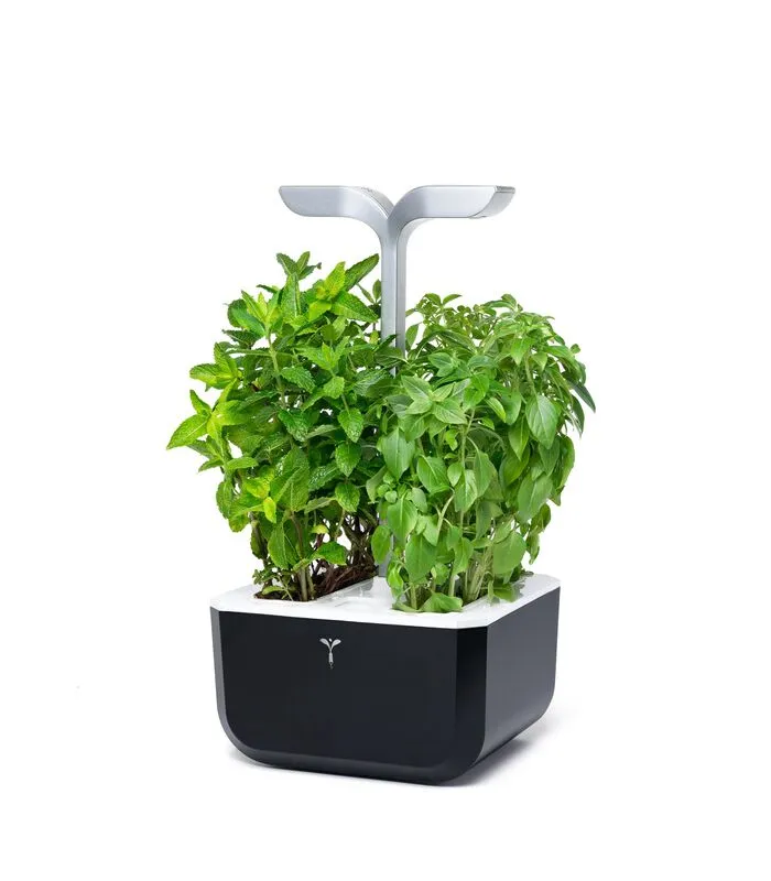 Veritable Indoor Moestuin Exky® SMART Soft Black 4 Veritable Indoor Moestuin Exky® SMART Soft Black - Image 2