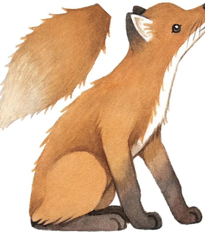 Lilipinso Muursticker Kinderkamer - Vintage Vos 5 Lilipinso Muursticker Kinderkamer - Vintage Vos - Image 3