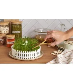 PELEG DESIGN Seed Field -Meubilair Geschäft c9fb8acc5e0f4a2dbb5b96a14ddb4eff