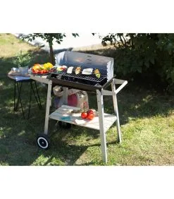 LIVOO Houtskoolbarbecue Afwerking Hout -Meubilair Geschäft cb4501ce1819413fb552beb98ece03d6