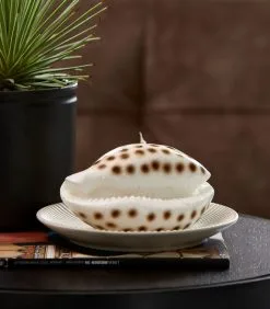 Meubilair Geschäft -Meubilair Geschäft cc596d0f39ac4288a37b46fcc55c8d11