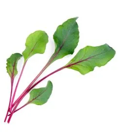 Veritable Lingot® Snijbiet Ribbetjes BIO - Voor Moestuinen -Meubilair Geschäft d25a38ea5ab244b1acd667706f7a80a8