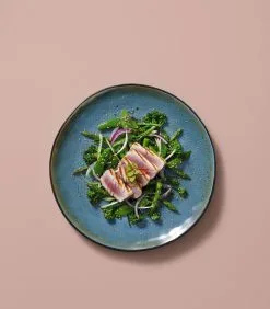 Palmer Serviesset Lotus Stoneware 6 Persoons 24delig Turquoise -Meubilair Geschäft e0c5055781f84f1ab1bee2befc395439