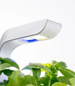 Veritable Indoor Moestuin Véritable® SMART Arctic White -Meubilair Geschäft e1239318136446a08d63a8bc5dc25196 1