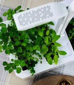 Veritable Indoor Moestuin Véritable® CLASSIC -Meubilair Geschäft e6b412e7d68f440880c815cfebba0ed9