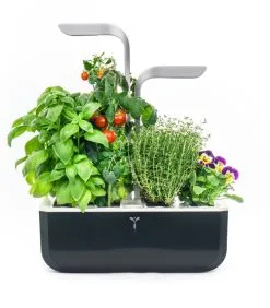 Veritable Indoor Moestuin Véritable® SMART Soft Black