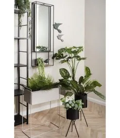 PRESENT TIME Plantenpot Set Essence - IJzer Warm Grijs - Recht - 51x24x65cm & 43x19,5x55cm 10 PRESENT TIME Plantenpot Set Essence - IJzer Warm Grijs - Recht - 51x24x65cm & 43x19,5x55cm -Meubilair Geschäft f0337a787b744549b7a925306c202dc9