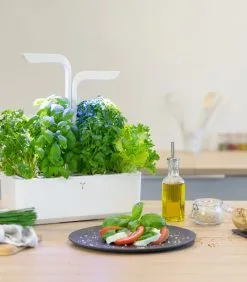 Veritable Indoor Moestuin Véritable® CLASSIC -Meubilair Geschäft f05c290ce3da47ed8d1096bf65e86a97