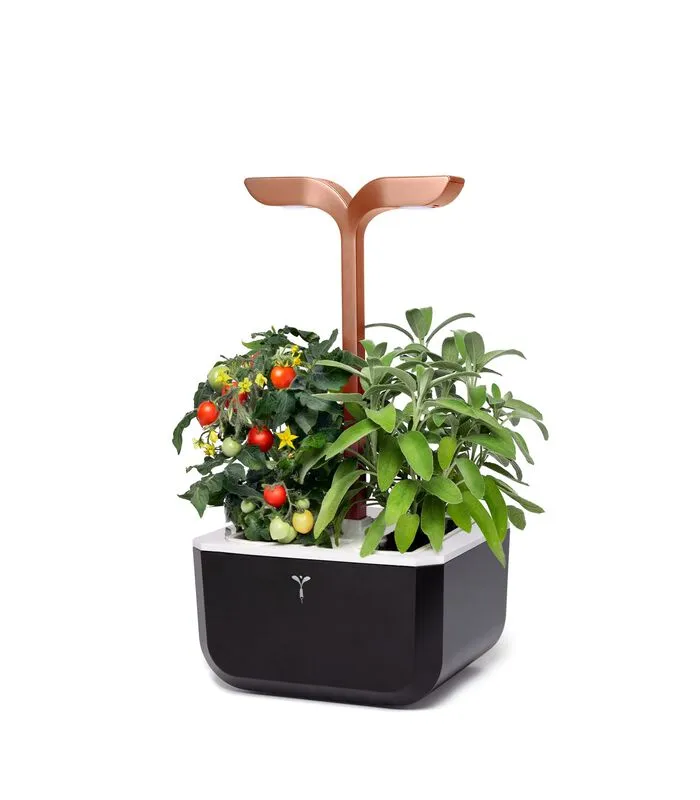 Veritable Indoor Moestuin Exky® SMART Copper 4 Veritable Indoor Moestuin Exky® SMART Copper - Image 2