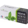 Veritable Lingot® Spearmint - Voor Véritable® Indoor Moestuinen
